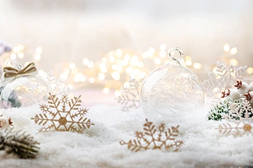 DES GUIRLANDES DE FLOCONS DE NEIGE DES GUIRLANDES DE FLOCONS DE NEIGE